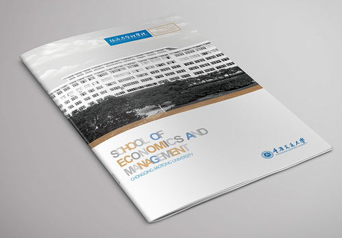 畫冊設計與企業形象策劃 如何選擇專業設計公司并打造獨特視覺體驗