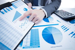 洞察市場，鏈接貿易 國內知名市場調研與貿易代理服務機構概覽